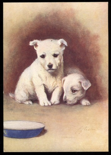Tobacco card godfrey - tobacco,