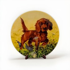 Setter Irlandese Piatto da