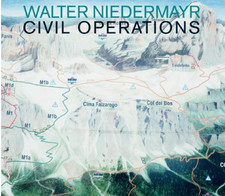 Walter Niedermayr, Zivile