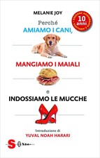 Perché amiamo i cani