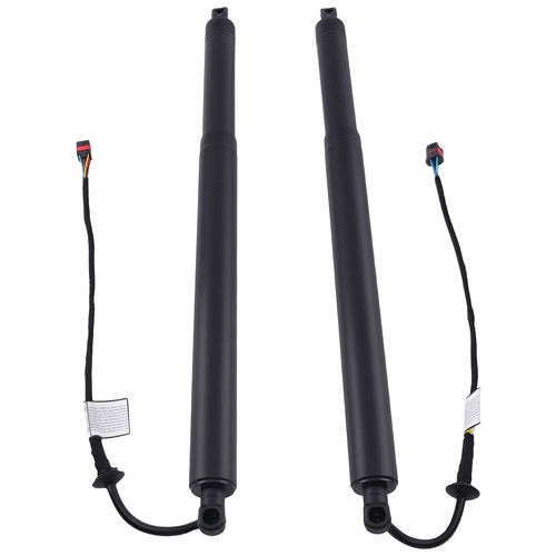 Sollevatore elettrico - 2x,