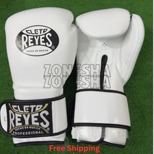 Guantoni da boxe professionali