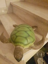 tartaruga gigante giocattolo plastica tipo scheilt