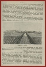 Cerignola puglia panorama - cerignola,