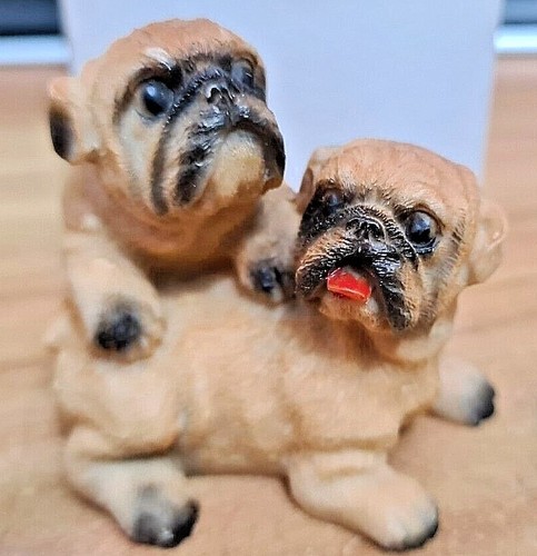 Coppia carlini cani - carlini,