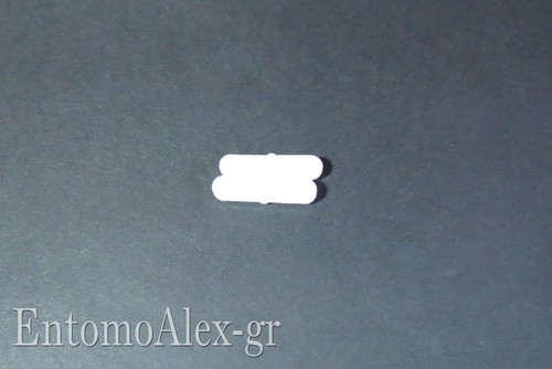 Ancoretta magnetica ptfe - ancoretta,