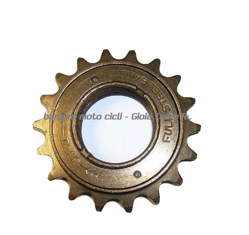 Ruota libera pignone - pignone, bici