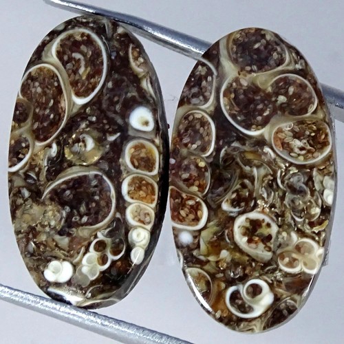 50cts coppia cabochon - 17,50cts.,