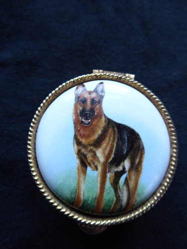 Lovely dog german - lovely,