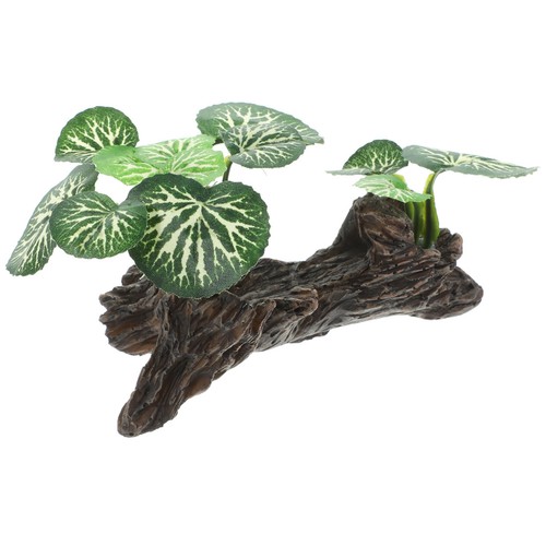 Piante terrario finte - da,