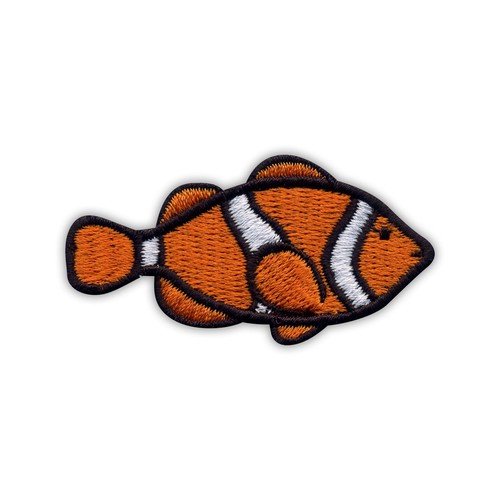 Patchion calamite pesce - calamite,
