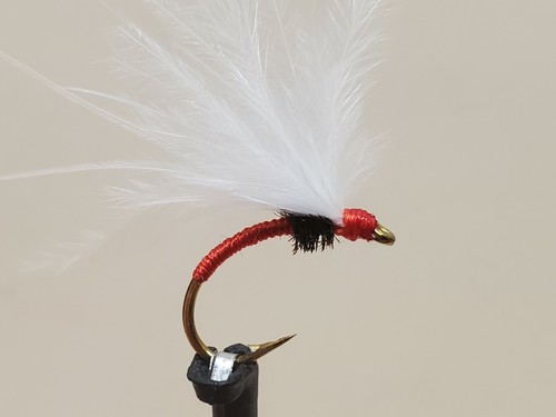 Caddis emerger fly - caddis,