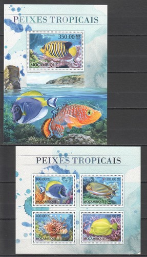 St2634 2016 mozambico pesci - st2634,