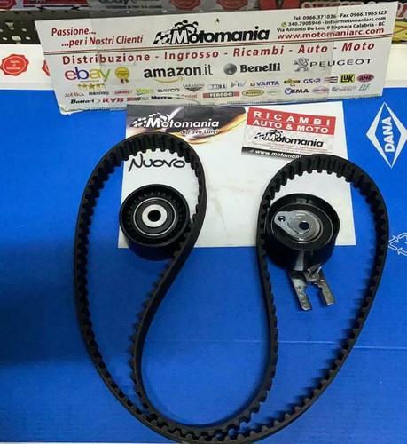 Kit cinghia distribuzione - cinghia,