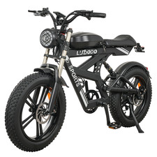 Electric Bike for Adult 1500W
