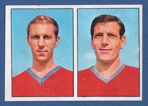 Figurina calciatori panini - figurina,