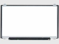 Schermo LCD da 17,3 pollici