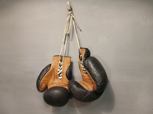 Guantoni boxe palestra - guantoni,
