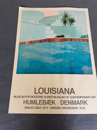 Poster david hockney pool - david,