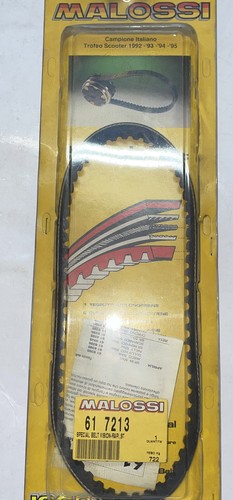 617213 cinghia malossi special - 617213,