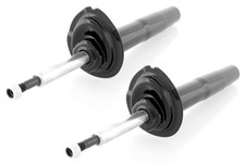 Coppia Ammortizzatori a Gas