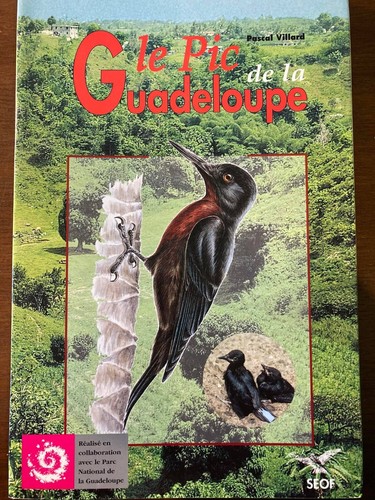Pic guadalupe libro - pic, de