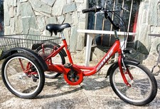 Triciclo per adulti usato colore rosso buone condizioni 5 Cambi campanello