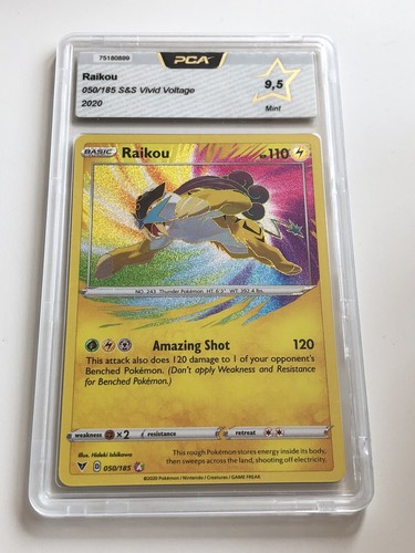 Pokemon raikou amazing - pokemon,