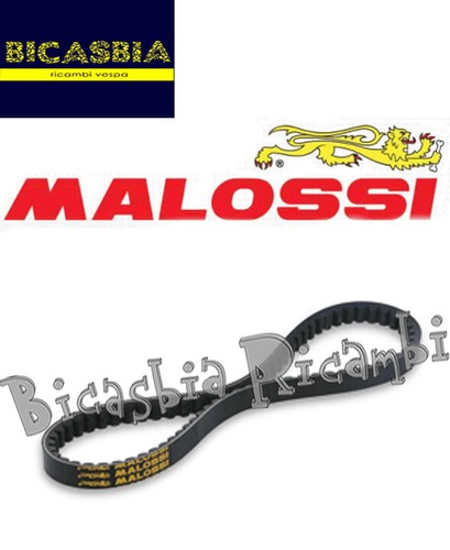 8176 cinghia variatore - -,