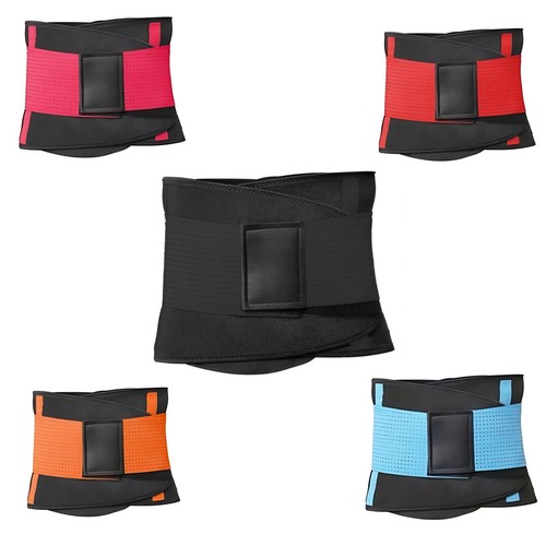 Fascia elastica lombare - fascia,