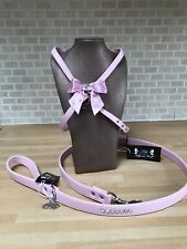 Set imbracatura e piombo rosa