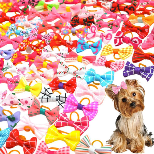 Confezione papillon per - 40,