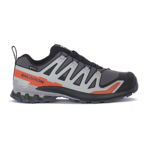 Salomon pro gtx - v9, gtx®