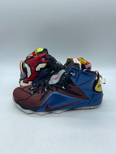 Nike lebron what the - 12,