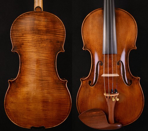 Guarneri violino master - master, wang's