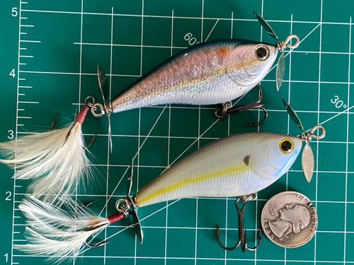 Lotto esche pesca lucky - da,