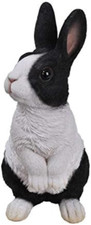 Vivid Arts XRL-PR04-C Coniglio Olandese sull'allerta Resina Ornamento
