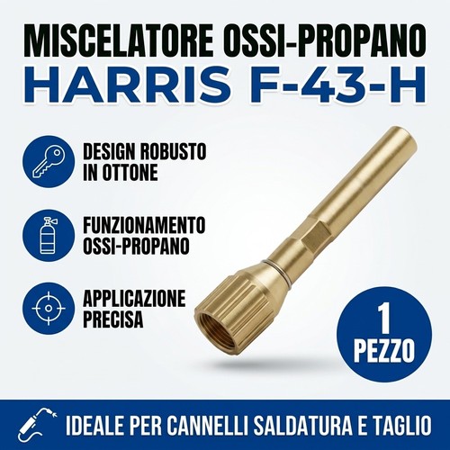 Miscelatore per cannello