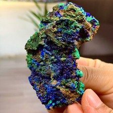 120G MIGLIORI esemplari di