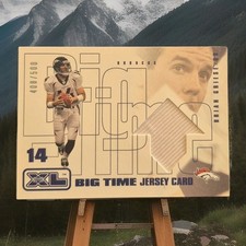2002 Upper Deck XL BTBG Brian