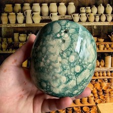 Ciotola spogliarellista erbe