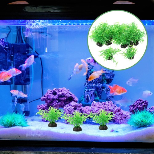 Pcs acquario per pesci - 20,