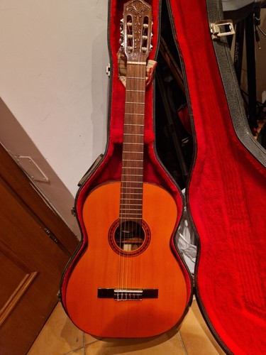 Chitarra classica giorgio - chitarra, di