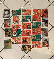 GATTI CANI BAMBINI ANIMALI  -