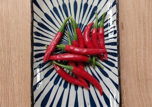 Peperoncino verde scuro