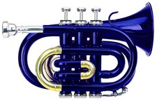 Tromba Strumento Fiato Ottone Tuba 3 Valvolas Bocchino Custodia Panno blu Set