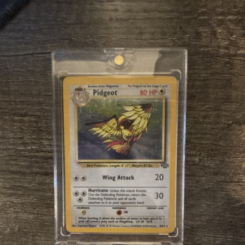 Carta the pokémon - the, company
