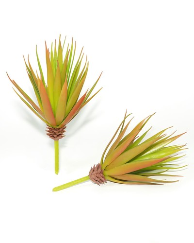 Ljy pezzi succulenta finta - pezzi,