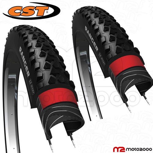 Coppia gomme copertoni - gomme,