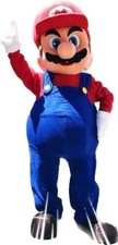 Costume mascotte adulti - costume,